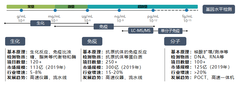 香港六马资料