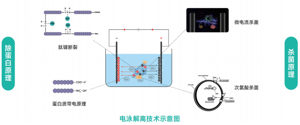 香港六马资料