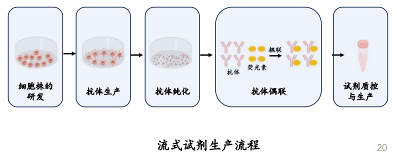 香港六马资料