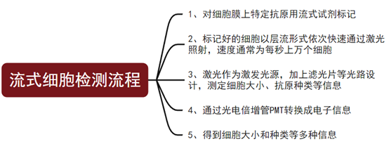 香港六马资料