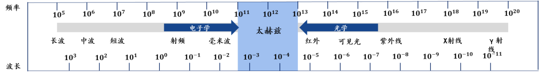 香港六马资料