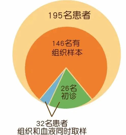 香港六马资料