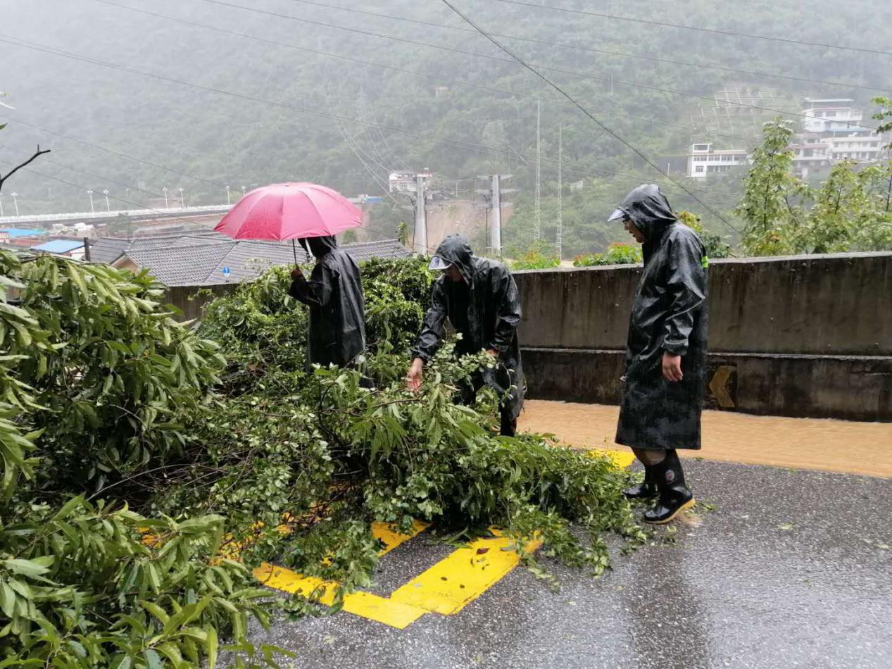 香港六马资料